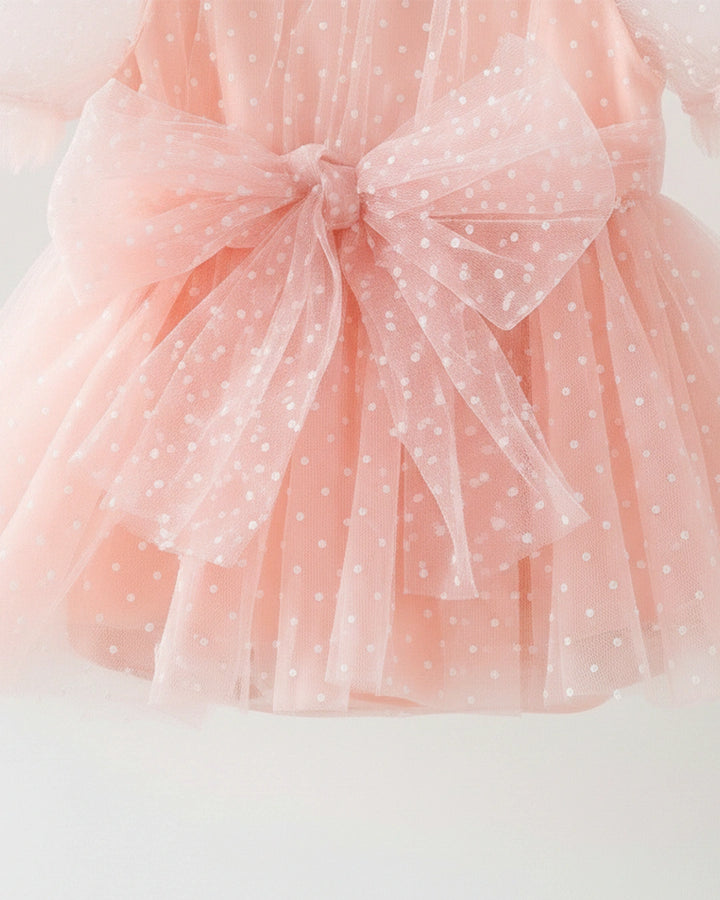 Mesh Princess Dress