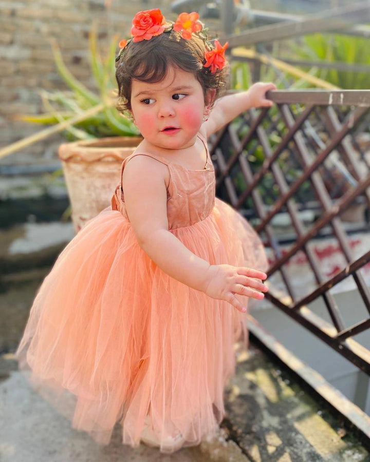 Natalia Mesh Princess Dress