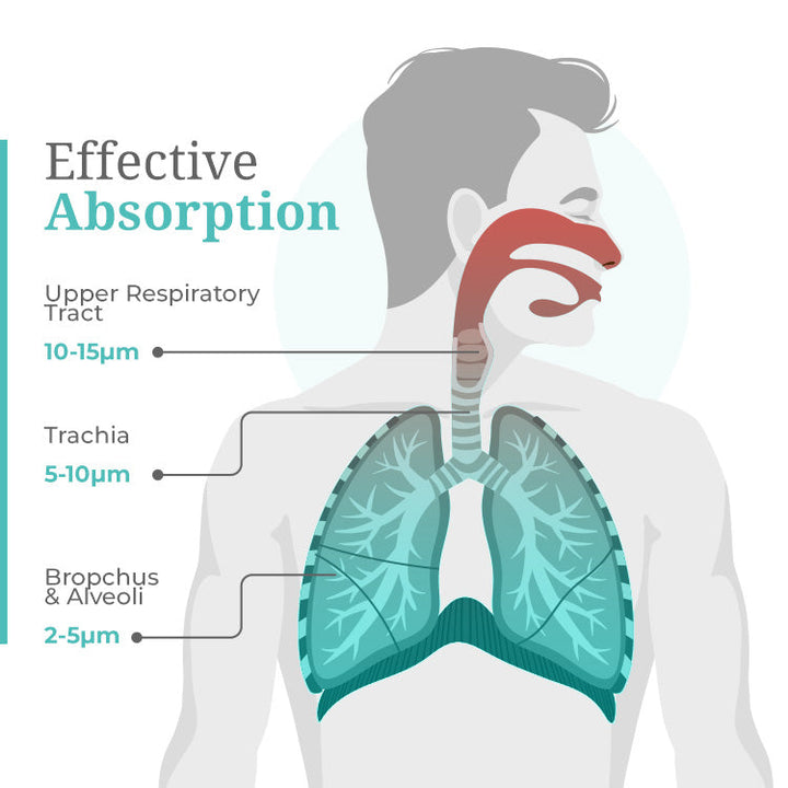 best-nebulizer-effective-absorbtion
